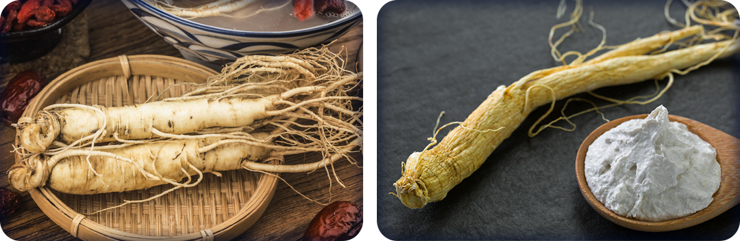 ประโยชน์ของโสม