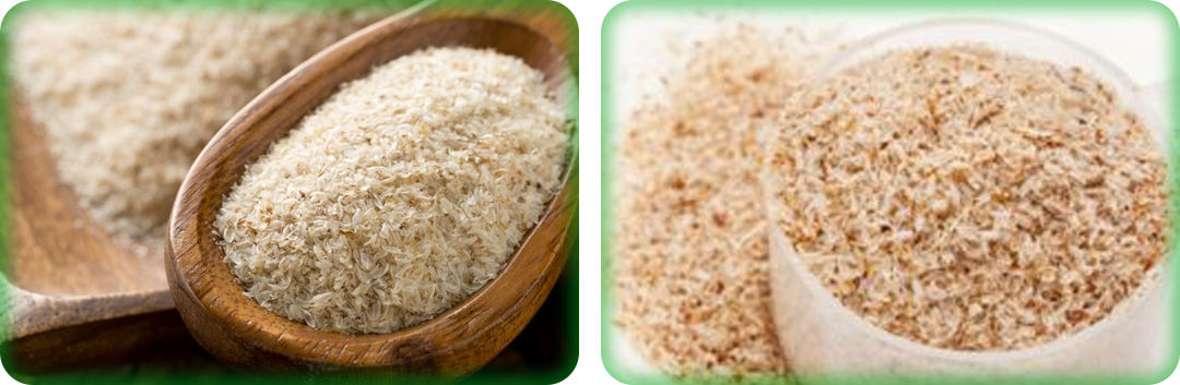 ประโยชน์ของไซเลียม ฮัสค์