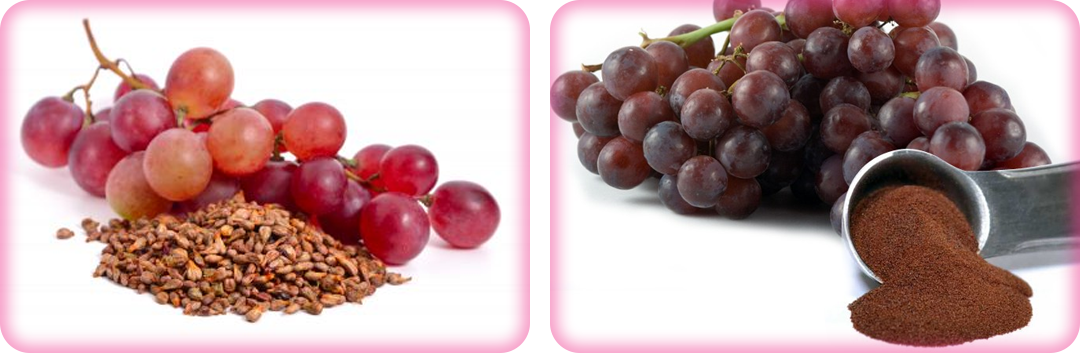 ประโยชน์ของสารสกัดจากเมล็ดองุ่น