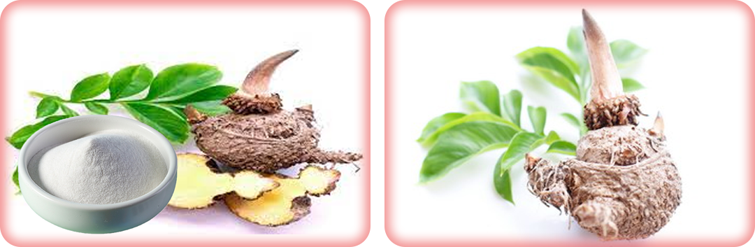 ประโยชน์ของบุก