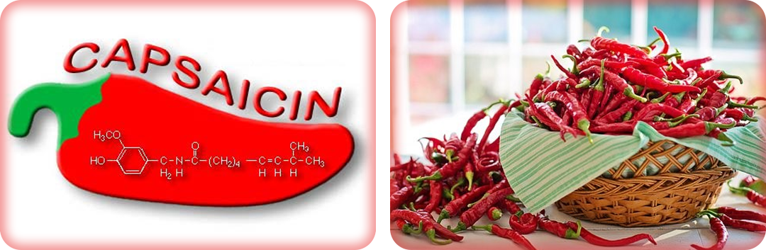 ประโยชน์ของพริก