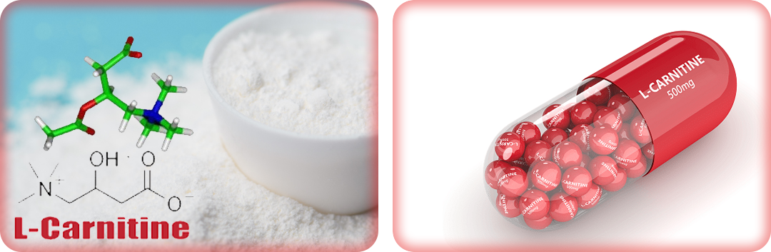 ประโยชน์ของแอลคาร์นิทีน