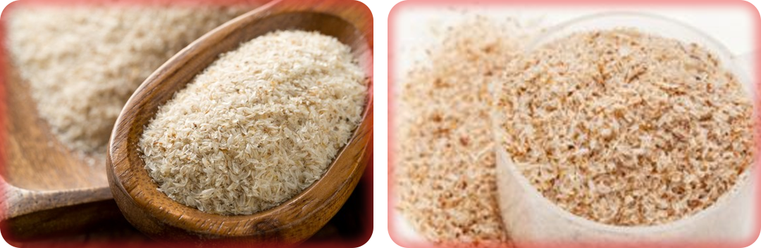 ประโยชน์ของไซเลียม ฮัสค์