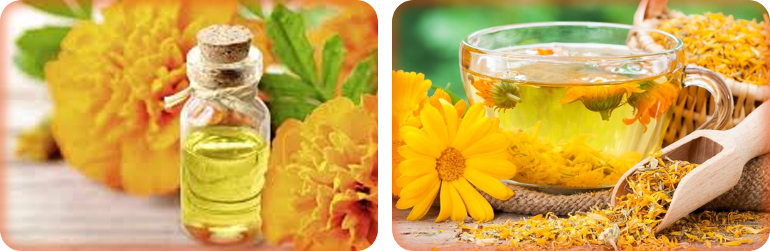 ประโยชน์ของลูทีน ประโยชน์ของลูทีน