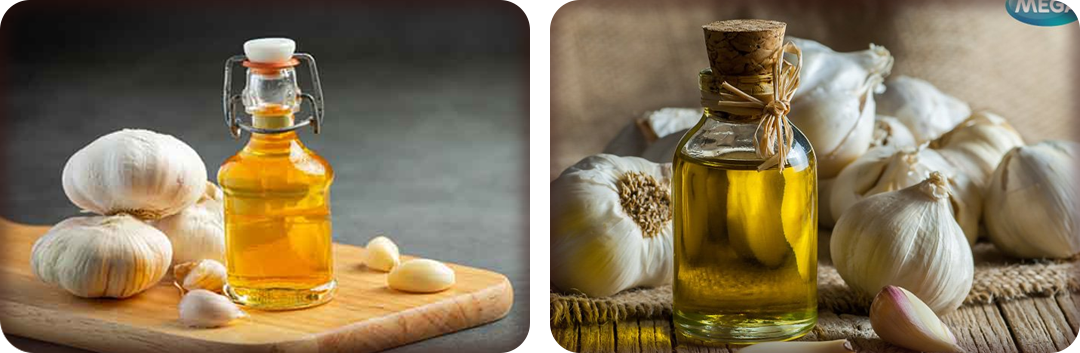 ประโยชน์ของน้ำมันกระเทียม