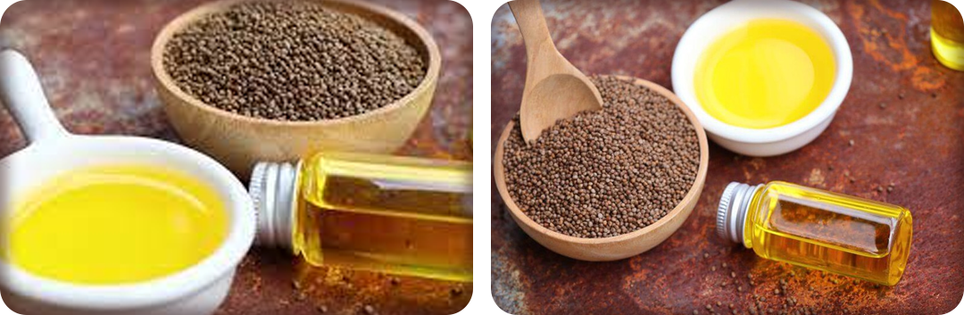 ประโยชน์ของน้ำมันงาม้อน