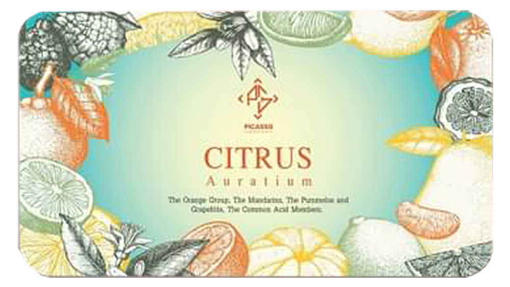 CITRUS (ซิตรัส) เหมาะกับใคร ?