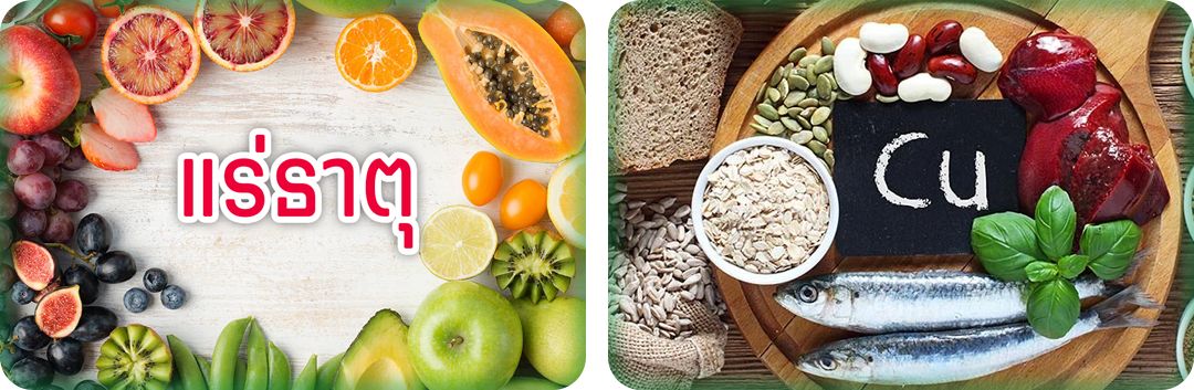 ประโยชน์ของทองแดง