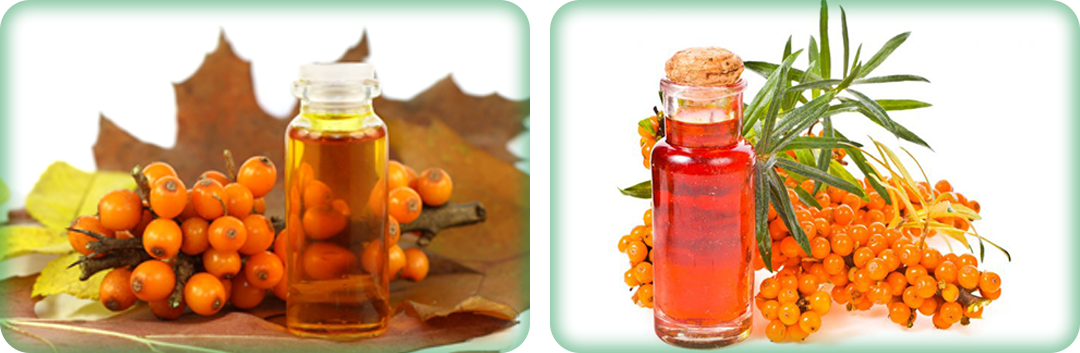 ประโยชน์ของซีบัคธอร์น