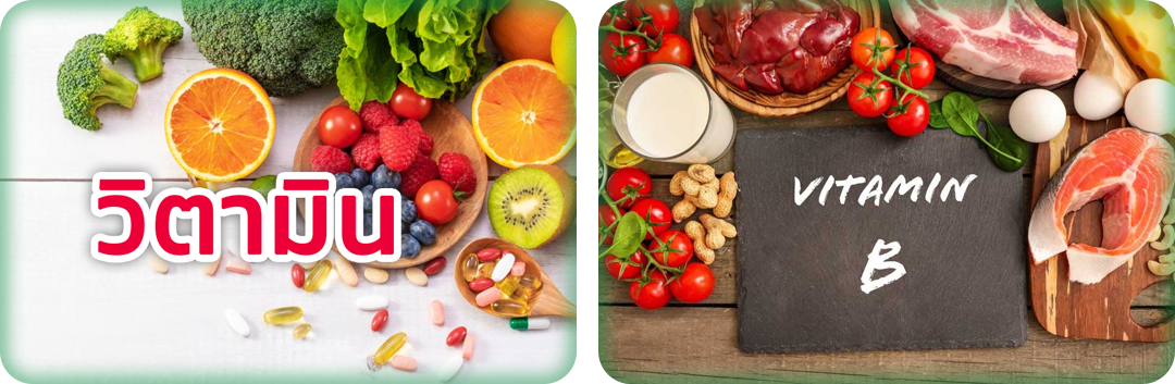 ประโยชน์ของ Vitamin B