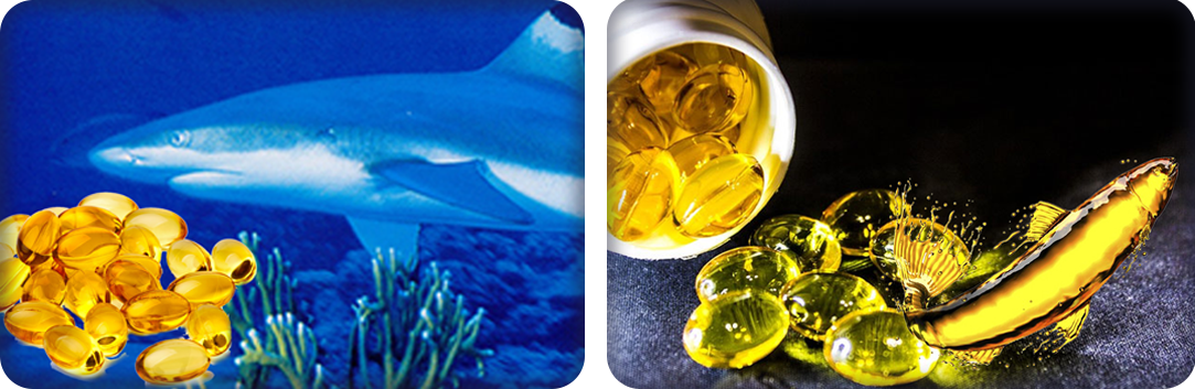 ประโยชน์จากน้ำมันปลา ประโยชน์จากน้ำมันปลา