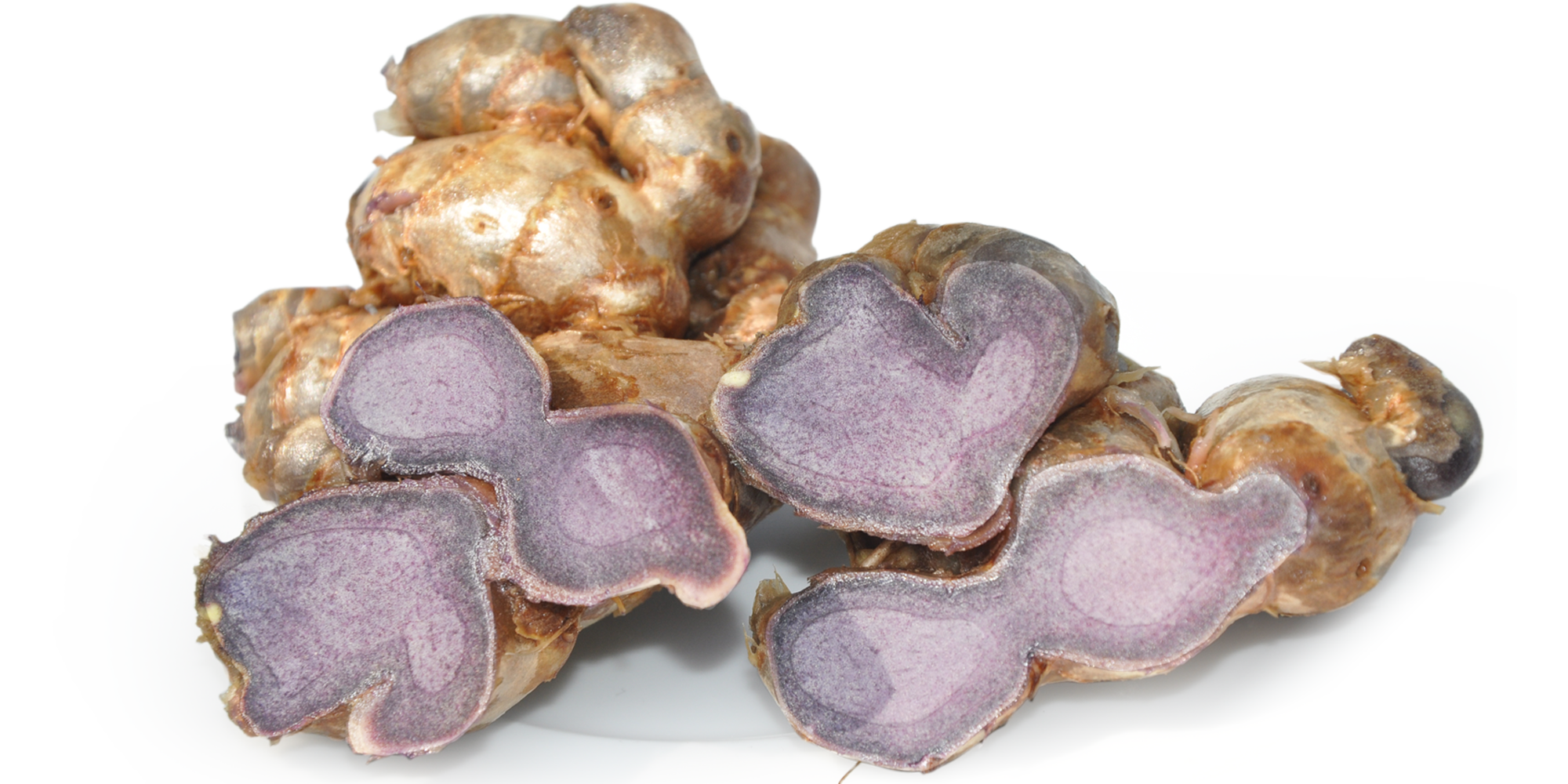 ประโยชน์ของกระชายดำ ประโยชน์ของกระชายดำ