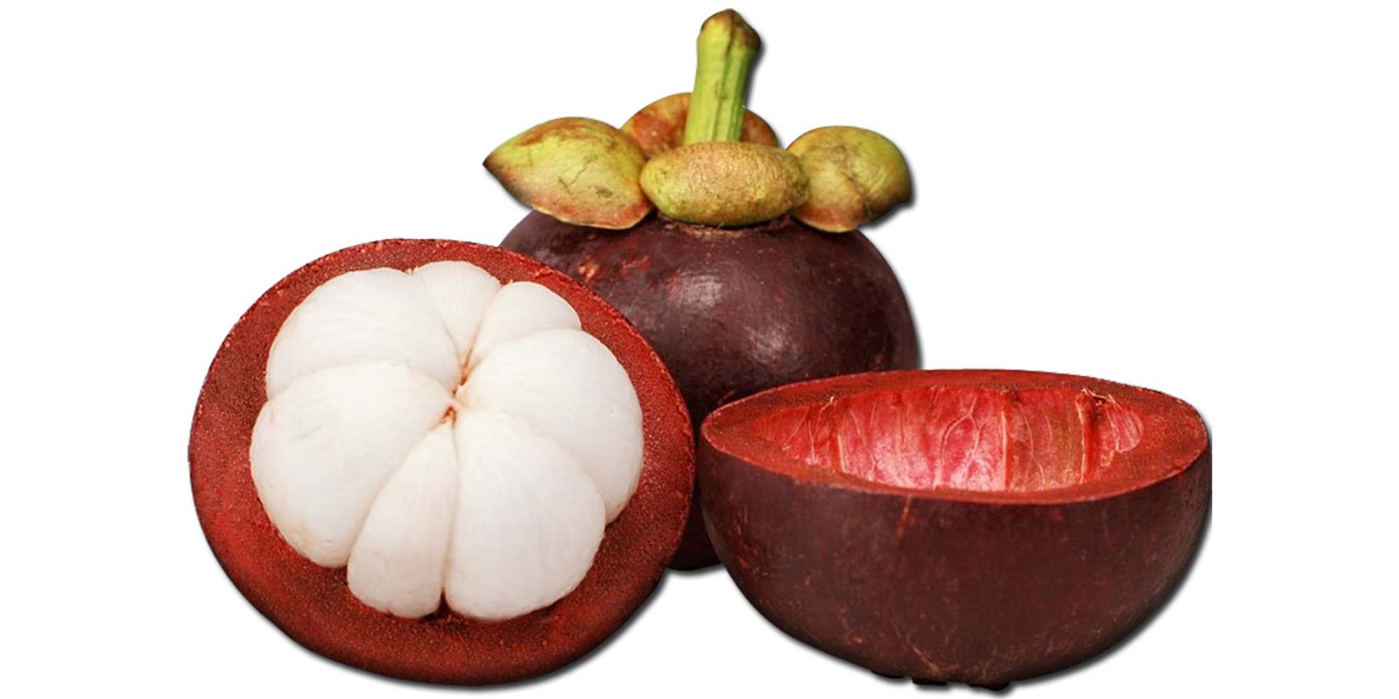 ประโยชน์ของน้ำมังคุด ประโยชน์ของน้ำมังคุด