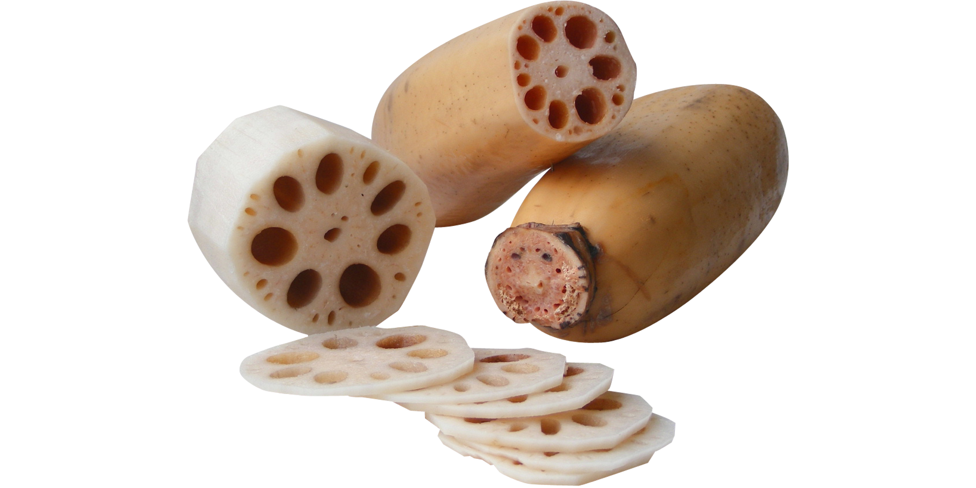 ประโยชน์ของรากบัว ประโยชน์ของรากบัว