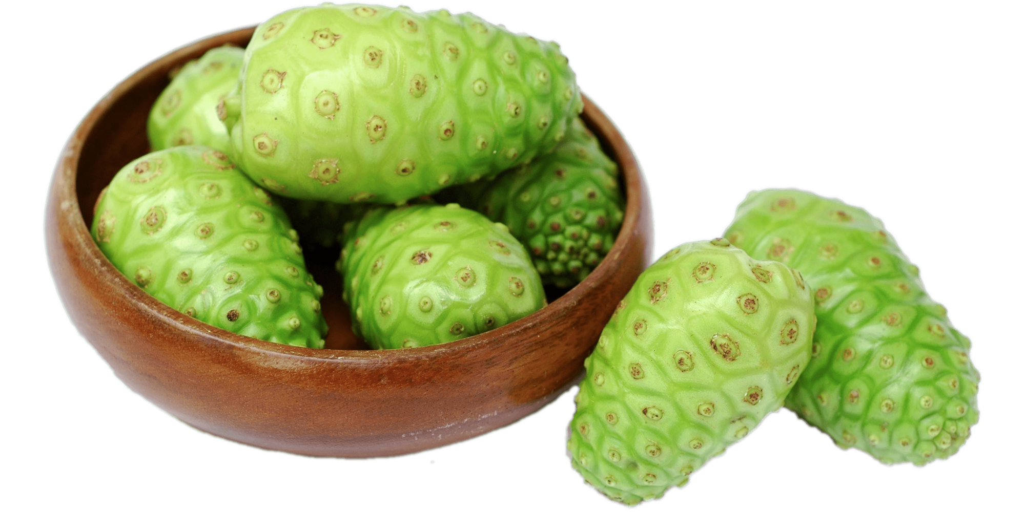 ประโยชน์ของลูกยอ ประโยชน์ของลูกยอ