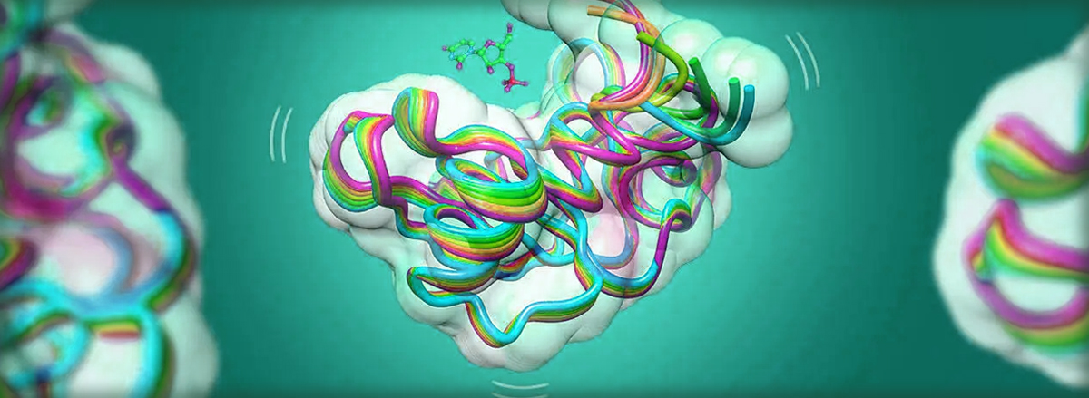 สิ่งที่ควรรู้เกี่ยวกับเอนไซม์ สิ่งที่ควรรู้เกี่ยวกับเอนไซม์