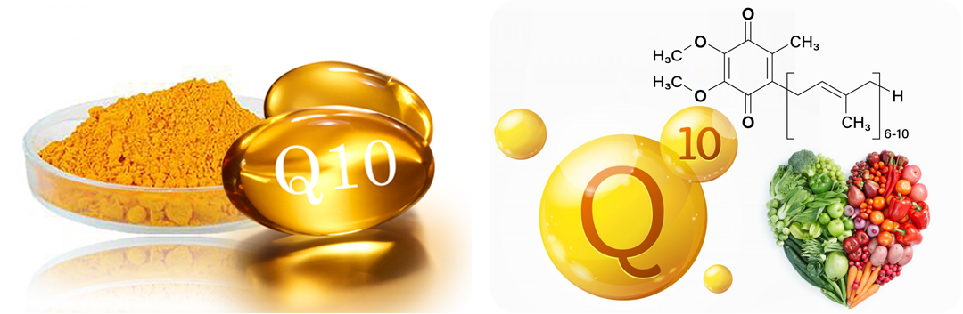 ประโยชน์ของ โคเอนไซม์คิวเทน