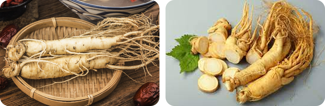 ประโยชน์ของ สารสกัดจากโสม