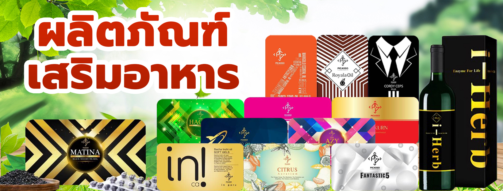 อาหารเสริมสุขภาพ จาก พีคัสโซ ประเทศไทย อาหารเสริมสุขภาพ จาก Picasso Thai