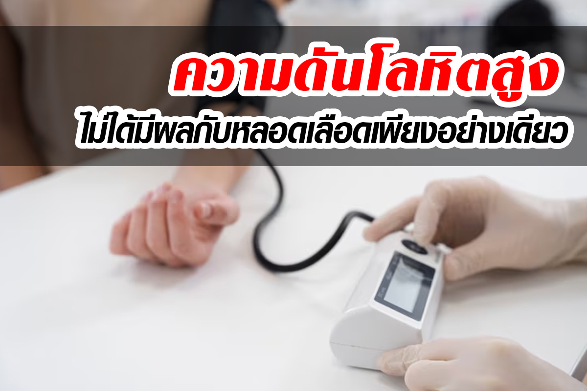โรคความดันโลหิตสูง_มีผลกระทบกับอวัยวะใดบ้าง