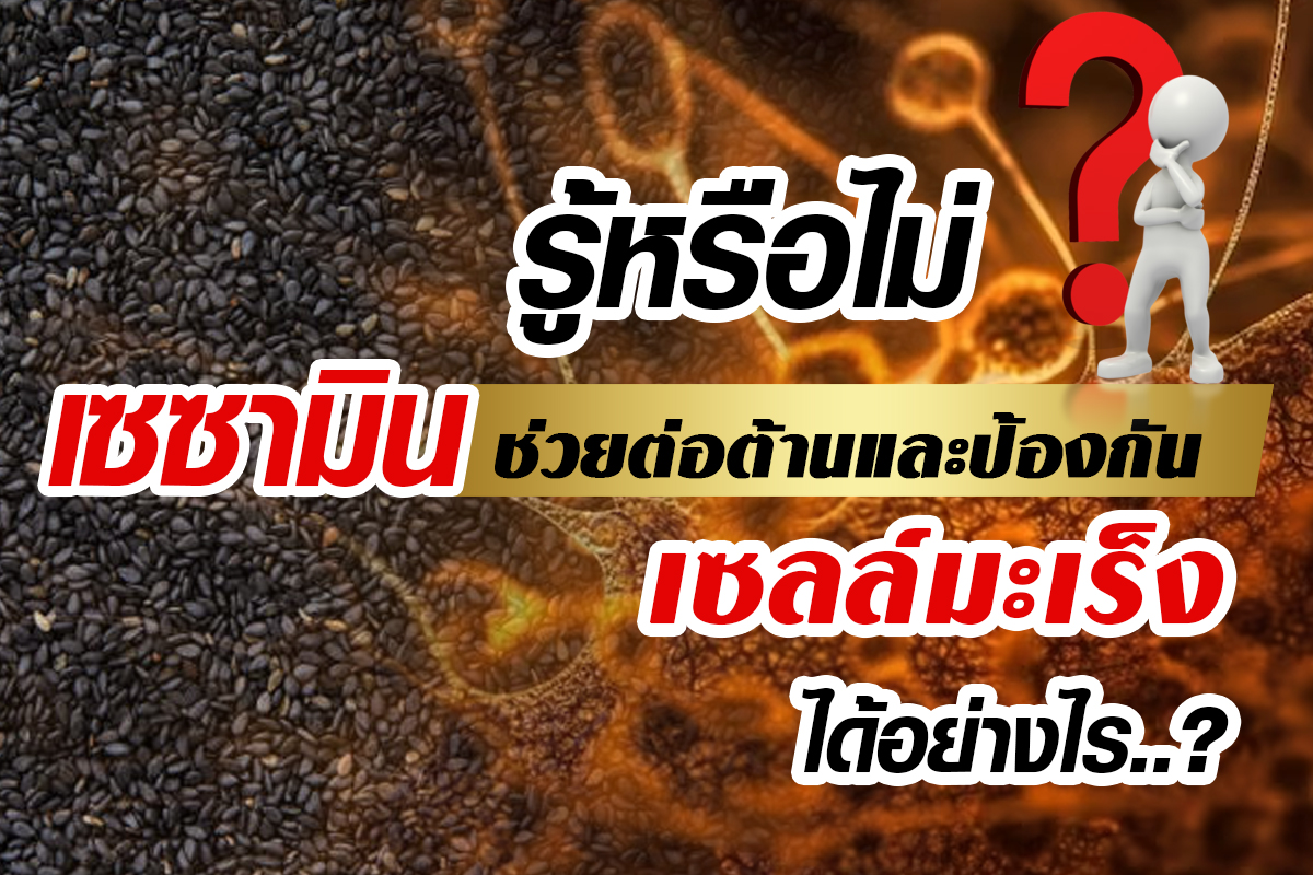 เซซามินในงาดำ_ป้องกันและต่อต้านมะเร็งได้อย่างไร