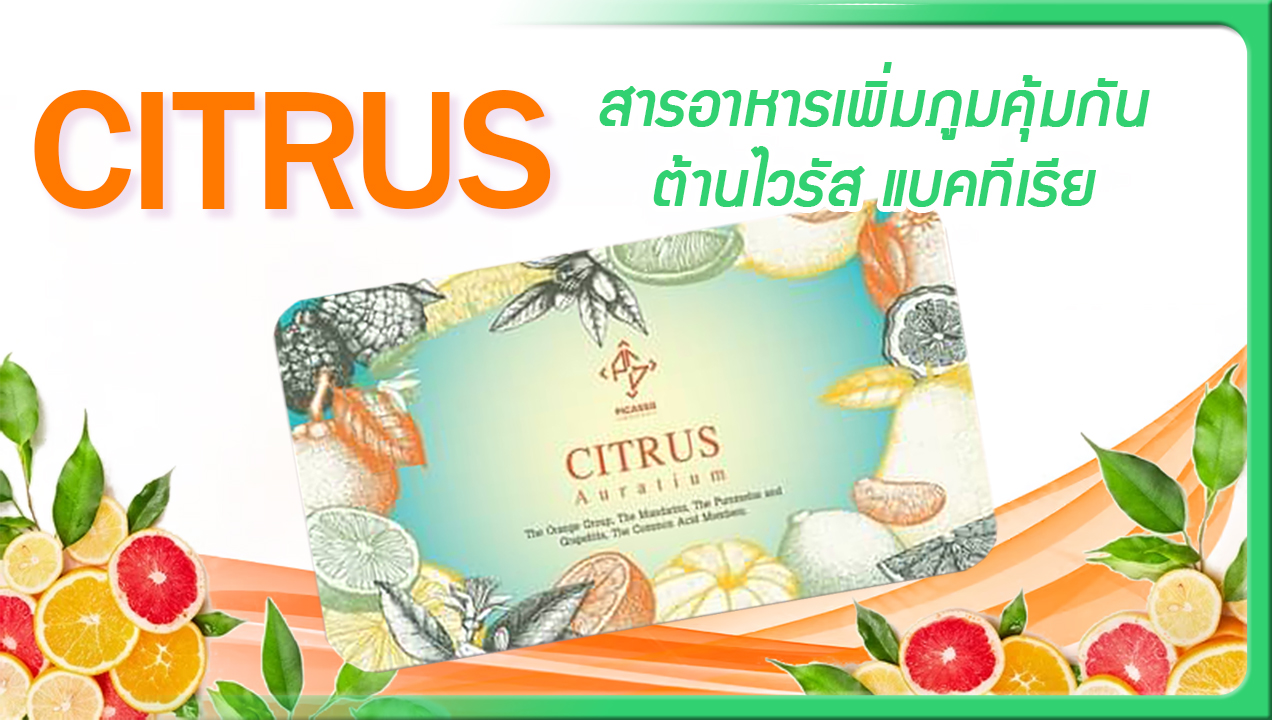 CITRUS ซีตรัส น้ำมันสกัดเข้มข้นจากพืชตะกูลส้ม เพื่อเพิ่มภูมิคุ้มกัน ต้านไวรัส ต้านแบคทีเรีย
